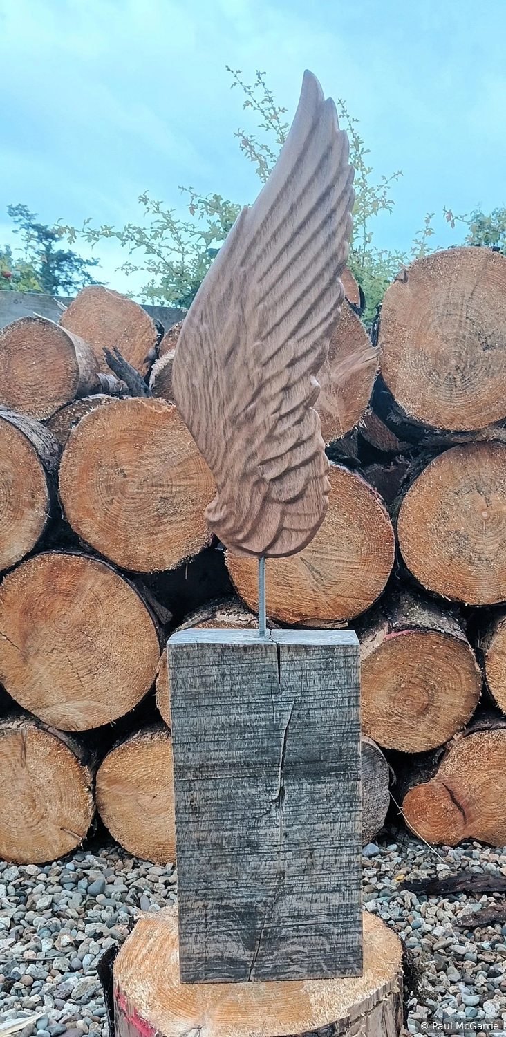 Carved Oak Angel Wing, wood artwork by Paul McGarrie, photograph 1