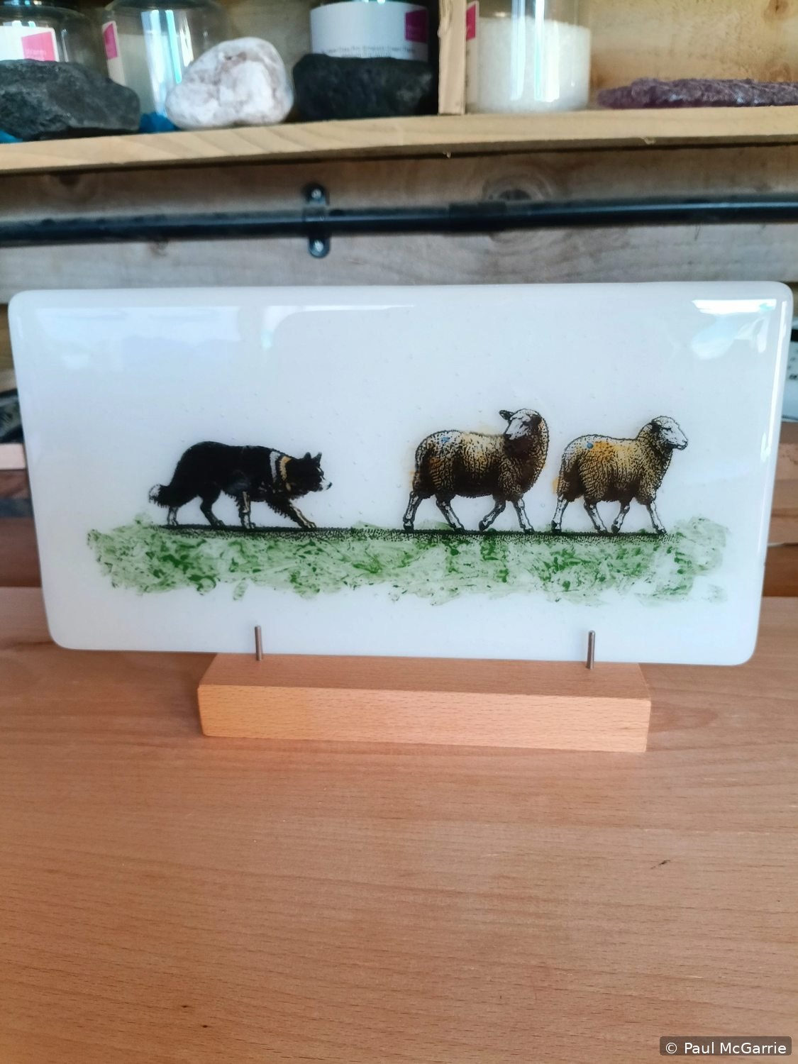 Scottish Wildlife Glass, fused glass artwork by Paul McGarrie, photograph 1
